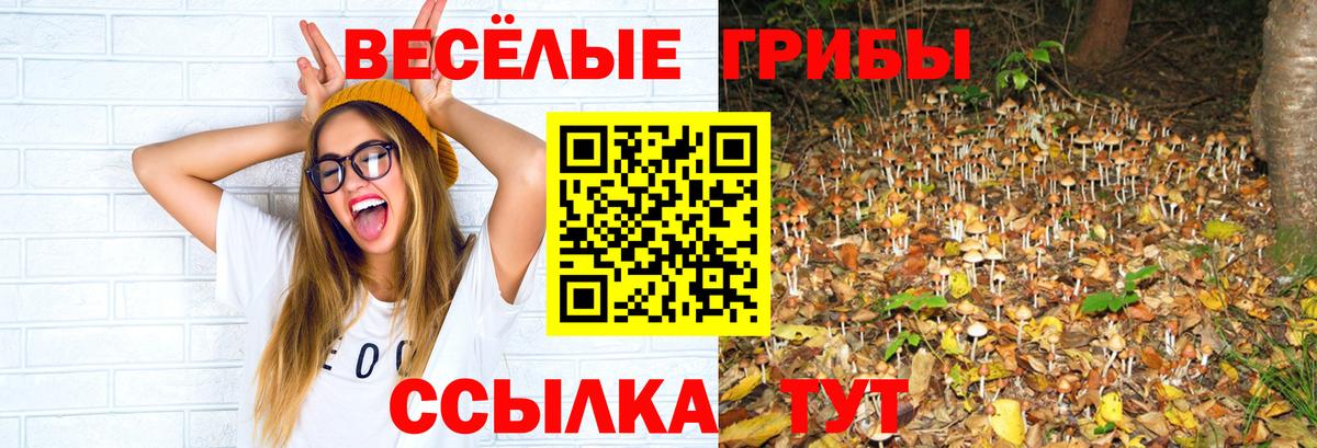 Псилоцибиновые грибы прущие грибы  Вход с VPN  Псилоцибиновые грибы ЛСД  Ангарск 